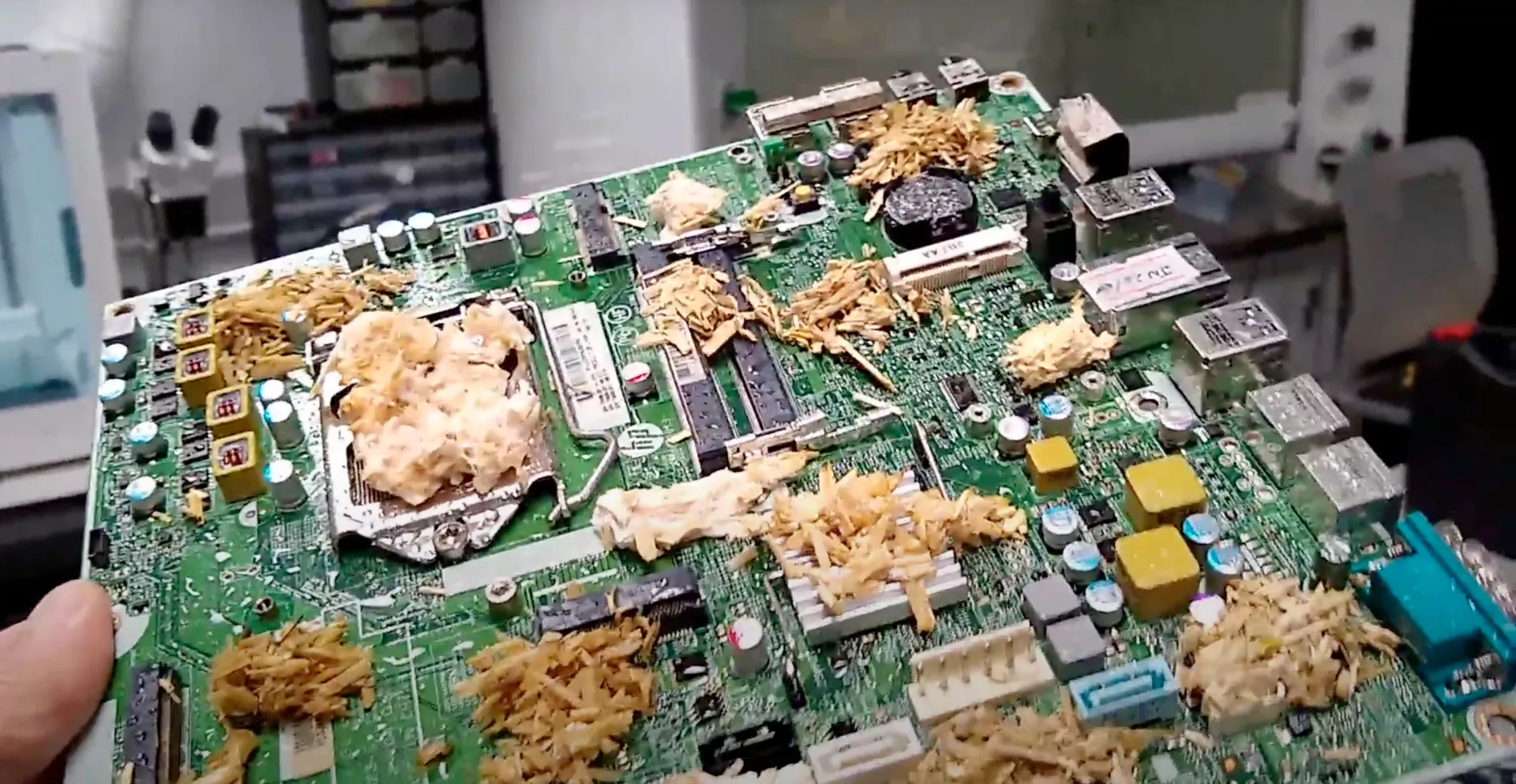 Cette carte mère en forme de champignon annonce un futur inquiétant à la David Lynch