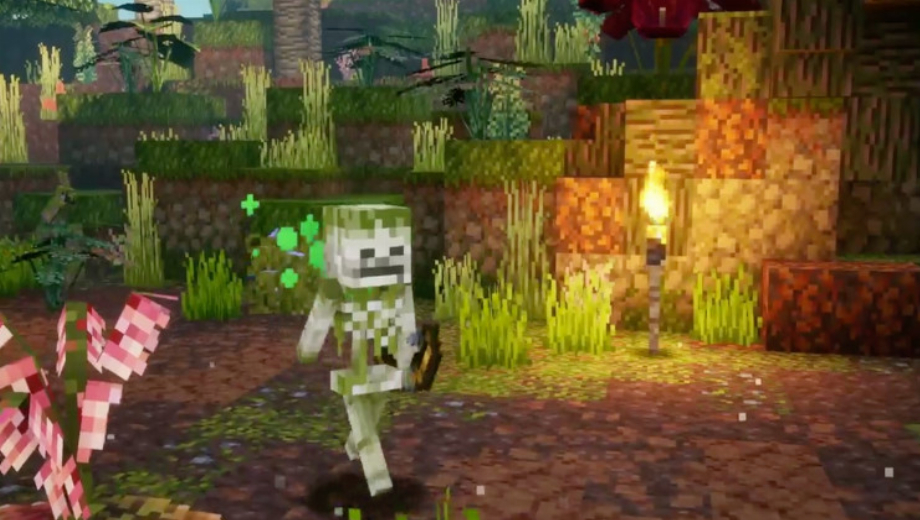 Entrez dans la jungle dans Minecraft Dungeons