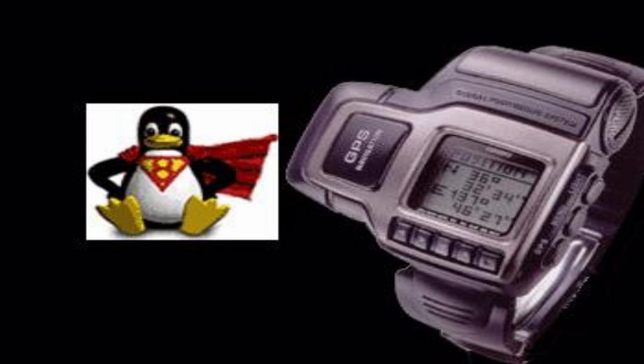 A watch that runs Linux?