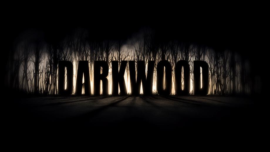 Darkwood v1.0 (+5 Trainer)