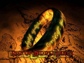 Lord of the Rings: The Battle for Middle Earth 2 – The Rise of the Witch-King – MasterHero Version v1.7.1