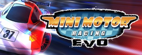 Mini Motor Racing EVO