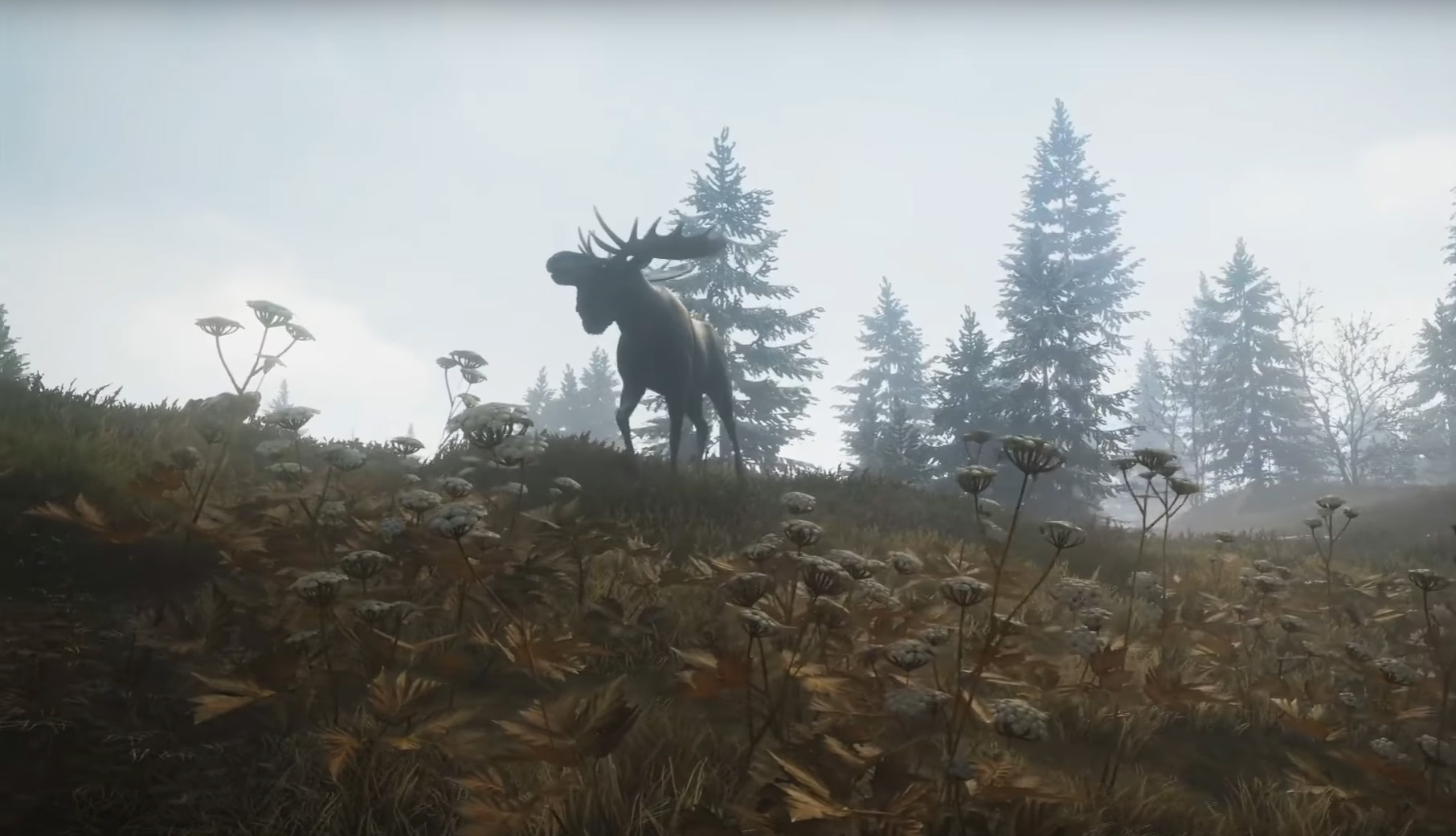 The Hunter: Call of the Wild is the prettiest hunting game to date