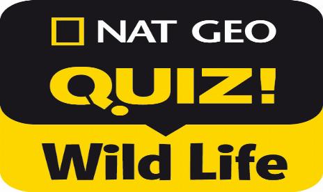 NatGeo Quiz! Wild Life