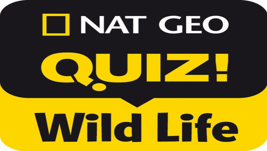 NatGeo Quiz! Wildes Leben