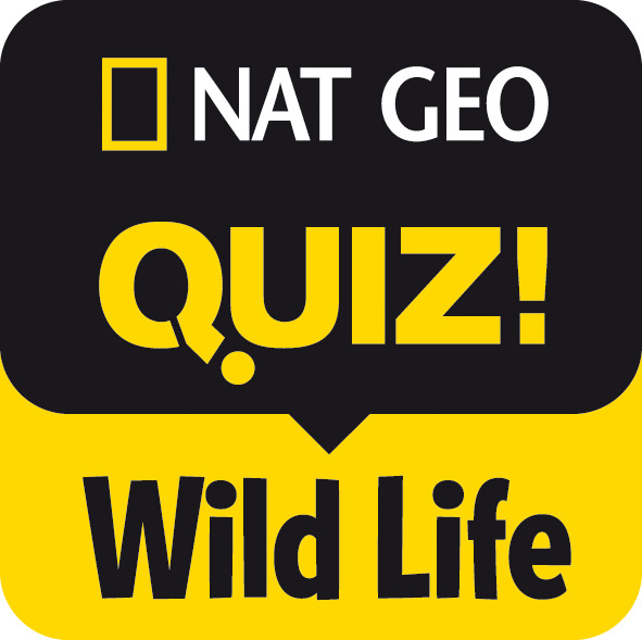 NatGeo Quiz! Wildes Leben