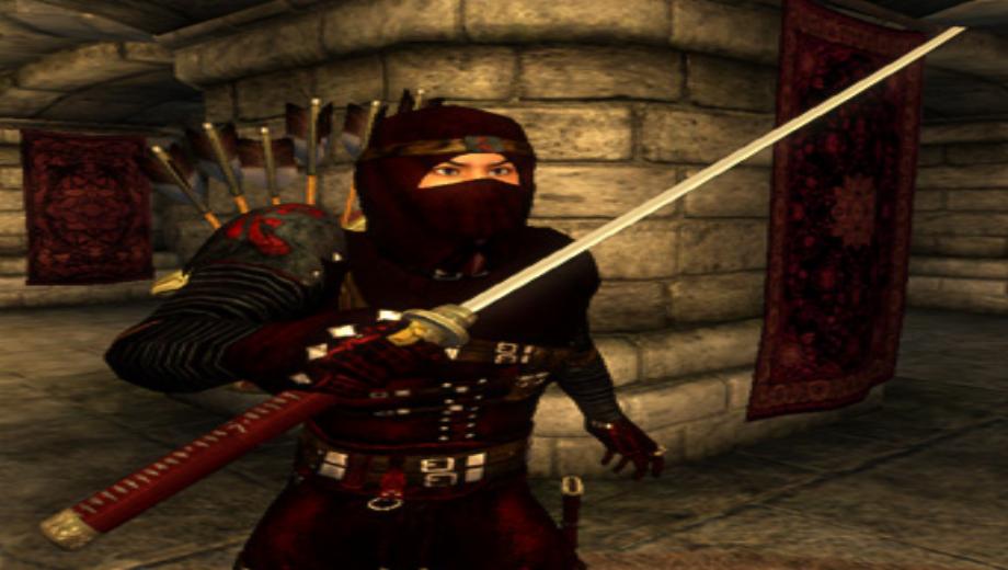 The Elder Scrolls IV: Oblivion – Ninja Mod v1.1