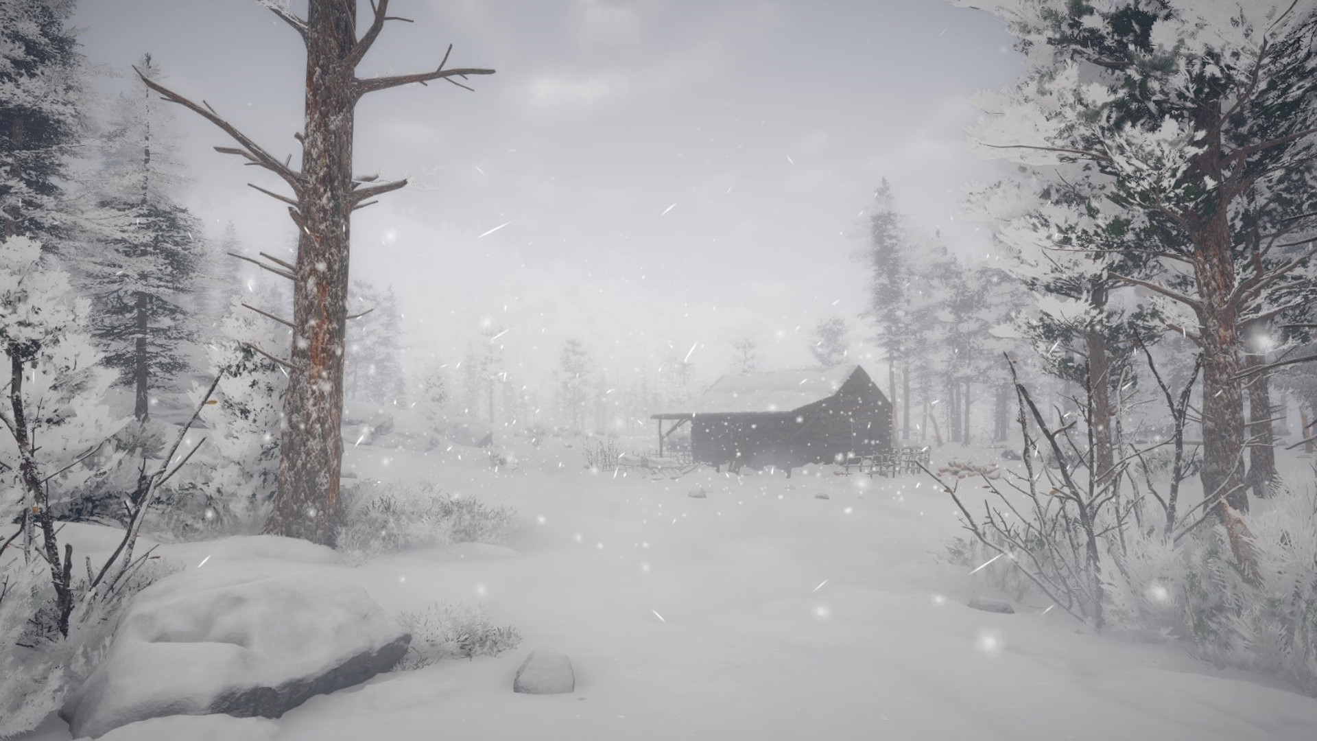 Northern Lights (+6 Trainer)