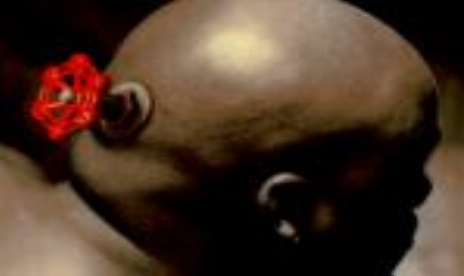 Half-Life 2 SDK Soon
