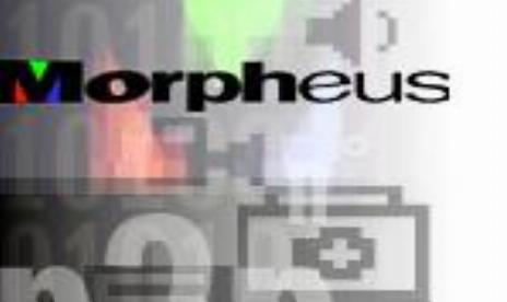 Morpheus Users Vulnerable