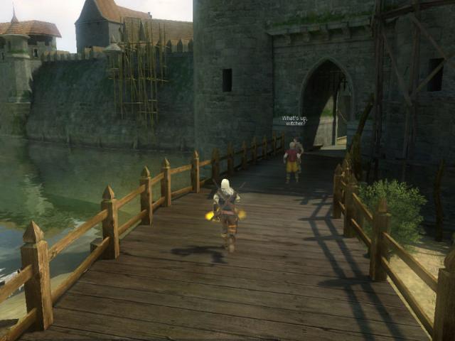 nVidia permet de jouer à The Witcher