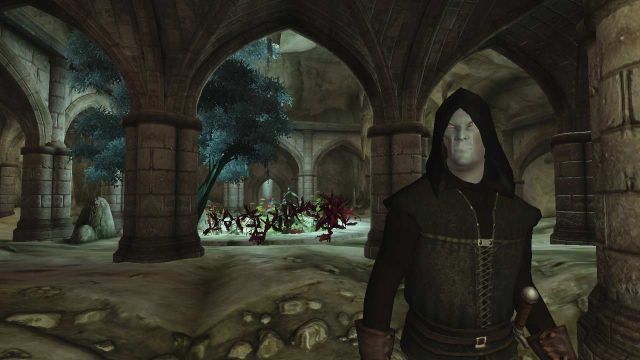New Oblivion Content – Details