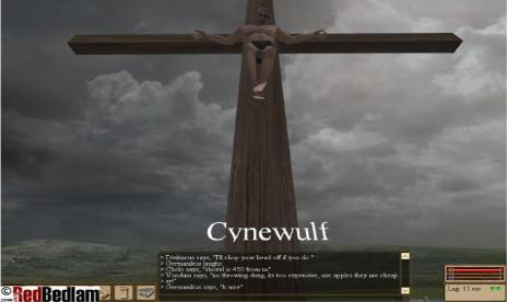 Gamer Crucified for Breaking MMO Rules