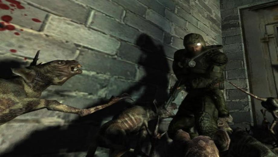 S.T.A.L.K.E.R. Developer Responds
