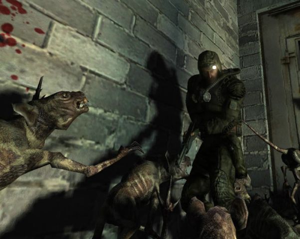 S.T.A.L.K.E.R. Developer Responds