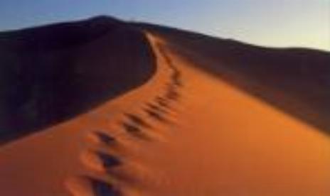 TKO To Develop Sahara