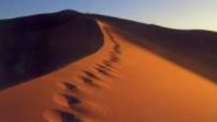 TKO To Develop Sahara