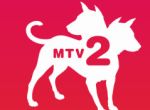 Viacom Buys XFire