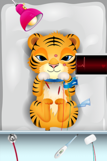 Pet Vet Doctor