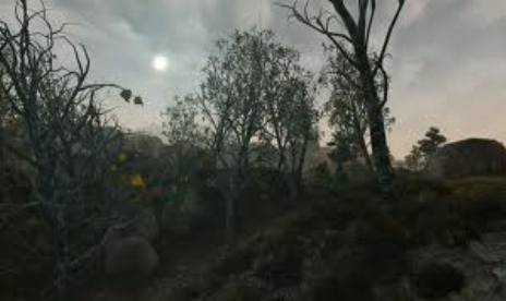 Morrowind