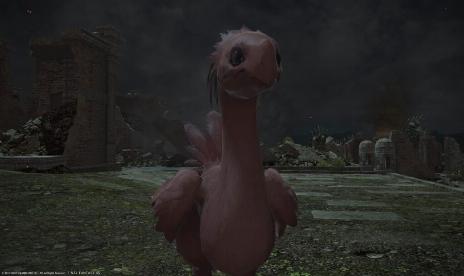 Red Chocobo terrifies Final Fantasy XIV player base