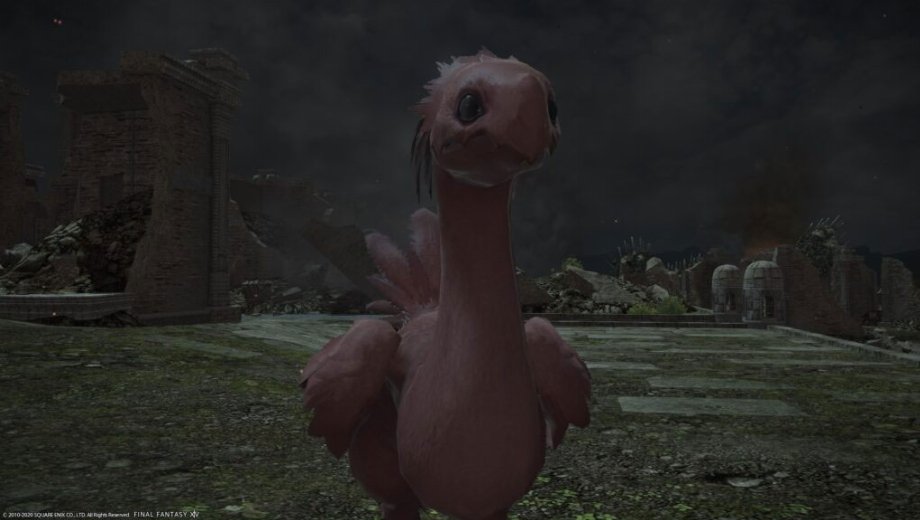 Roter Chocobo erschreckt Final Fantasy XIV-Spielerbasis