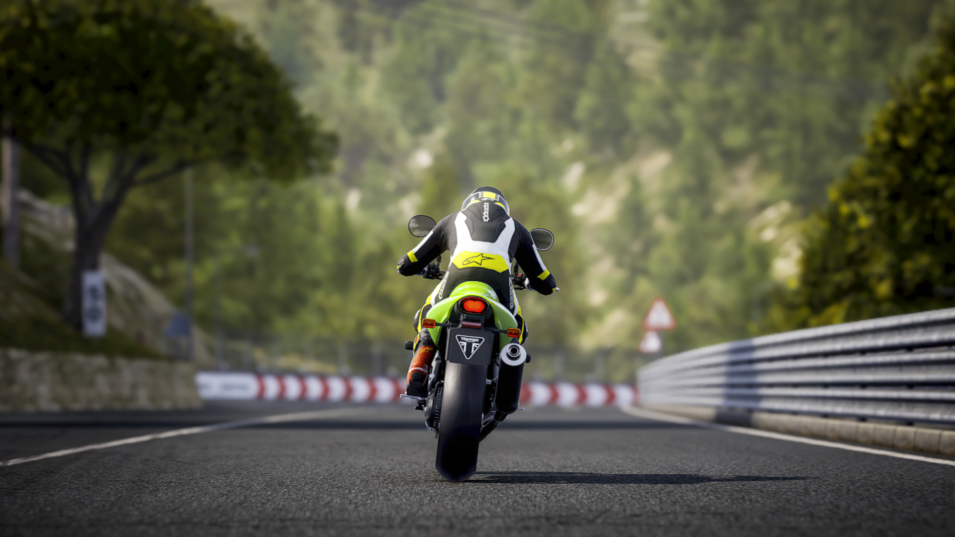 RIDE 4 v1.0.0.9 (+9 Trainer) [ArmYofOn3]