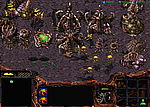 Starcraft: Brood War +18 Trainer