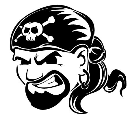 15 Months Imprisonment And USD 415900 Restitution For Game Piracy