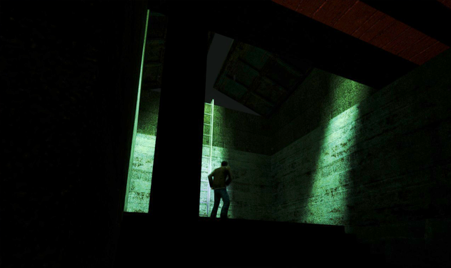 Half-Life 2 – Flesh Mod