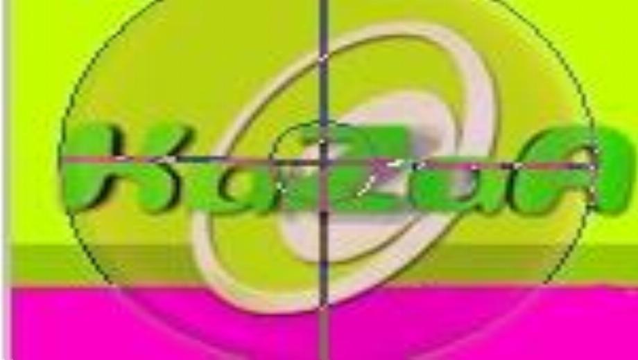 Kazaa Network Next Target Of RIAA