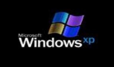 Win XP Stunden nach Veröffentlichung geknackt