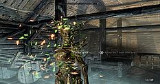 The Elder Scrolls V: Skyrim – SkyFi R1