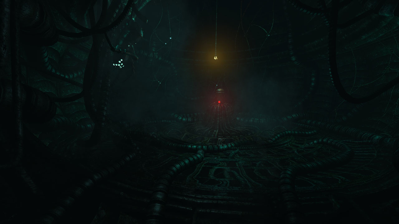 SOMA