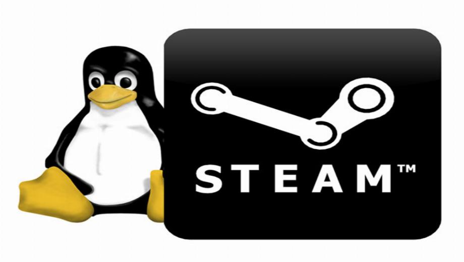 Steam For Linux Beta Begins