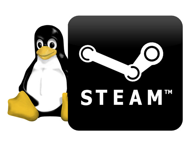 Steam für Linux Beta beginnt