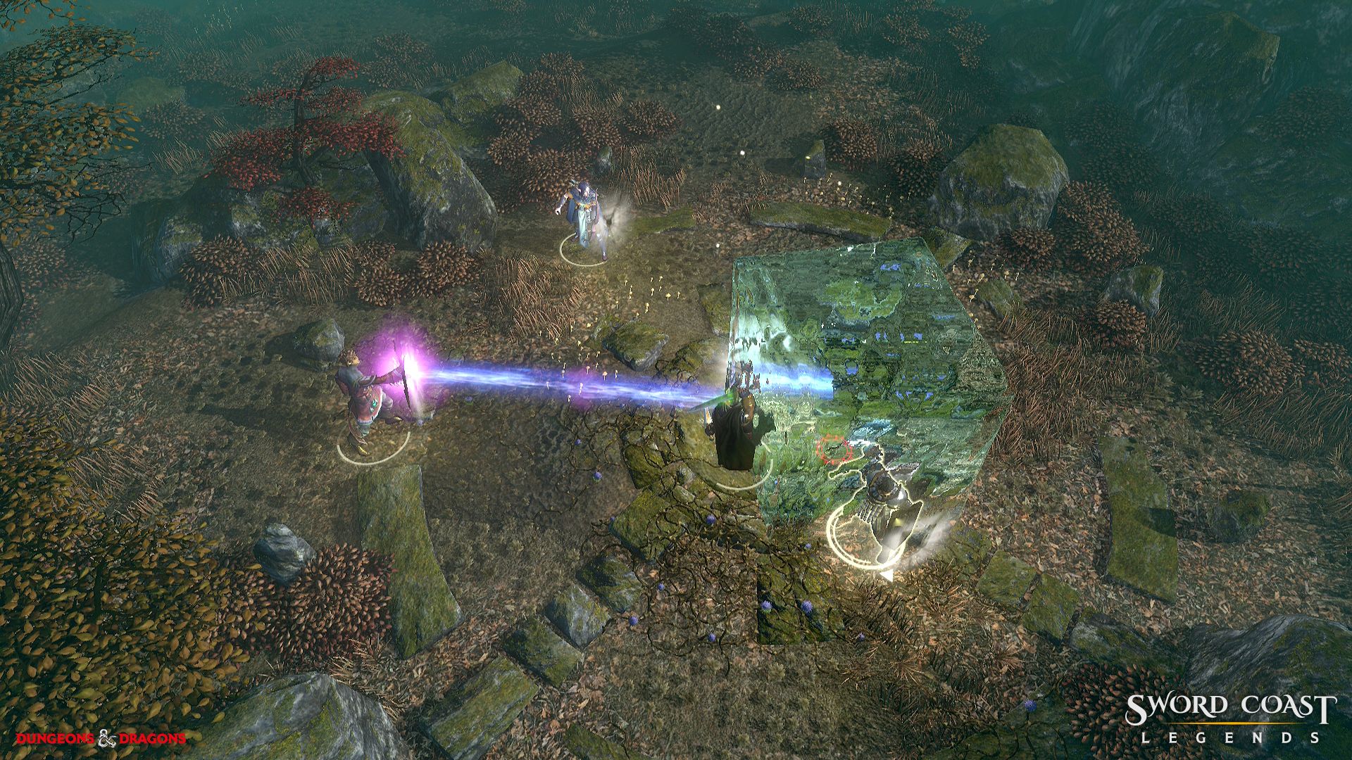 Sword Coast Legends v1.08 (+15 Trainer)