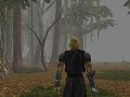 Neverwinter Nights : Enhanced Edition v1.78 (+5 Trainer)
