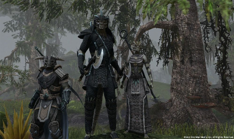 The Elder Scrolls Online