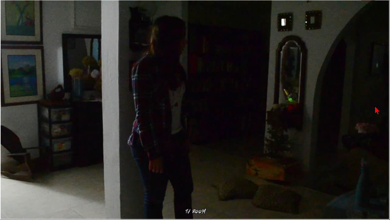 The Girl In The House Free Full Game