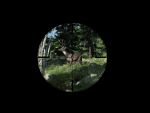 The Hunter (Jeu complet)