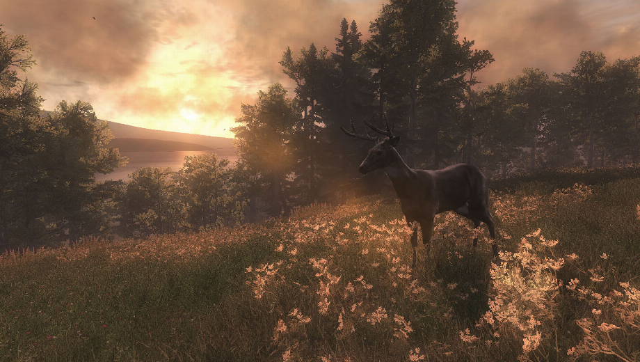 The Hunter (Full Game)