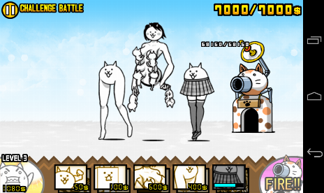 Les chats de combat