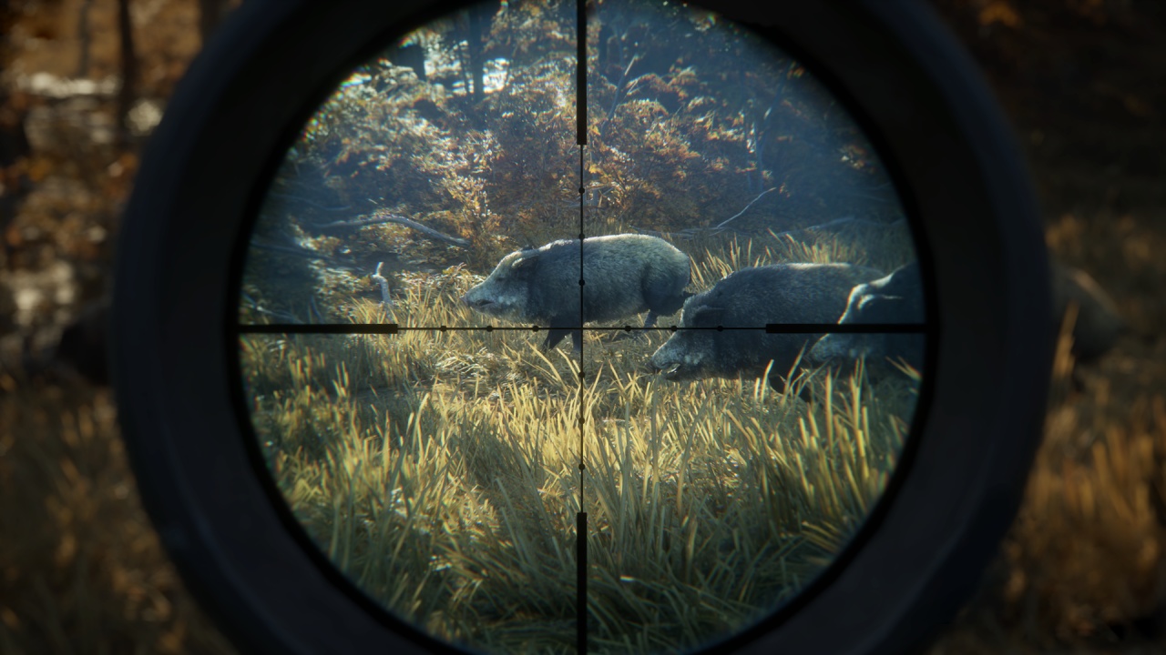 theHunter Call of the Wild v1.16 (+13 Trainer)