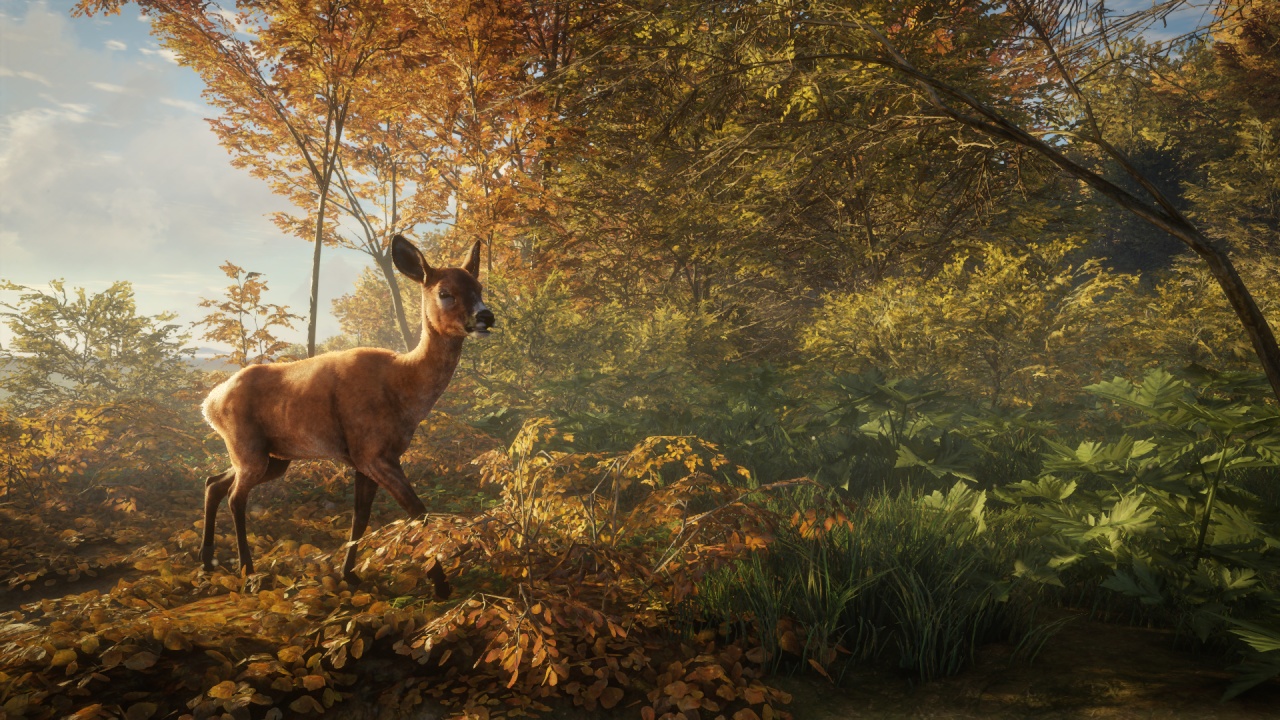 theHunter Ruf der Wildnis v1.0-v1.21 (+13 Trainer)