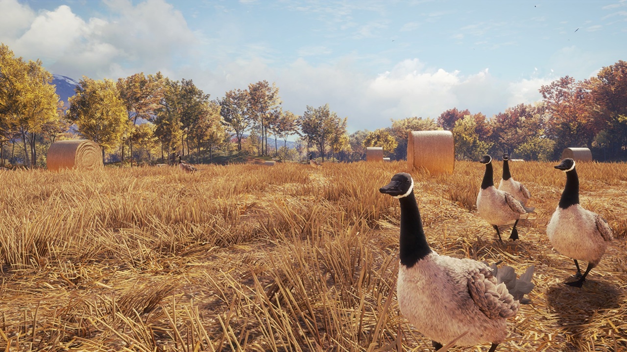 theHunter: Ruf der Wildnis v1.0-v1939208 (+15 Trainer)