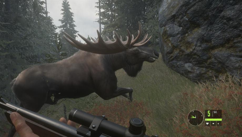 theHunter Call of the Wild v1.17 (+13 Trainer)