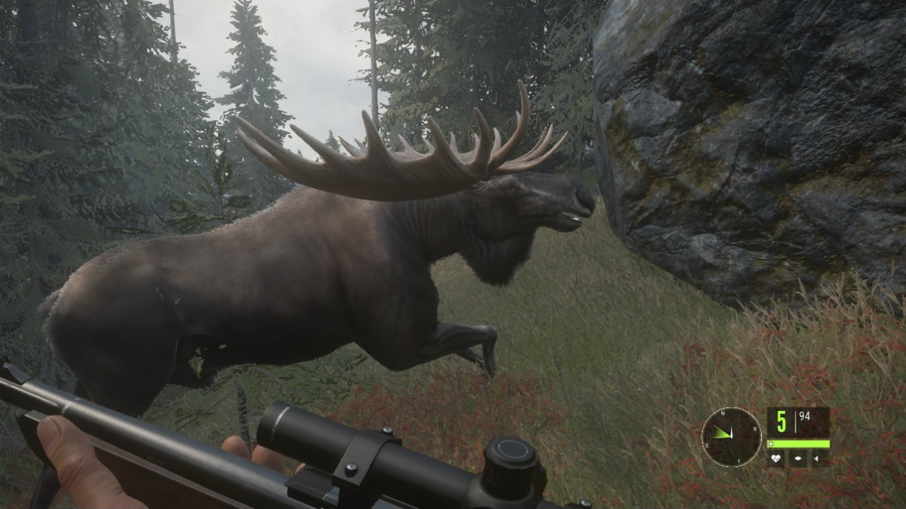 theHunter Ruf der Wildnis v1.17 (+13 Trainer)