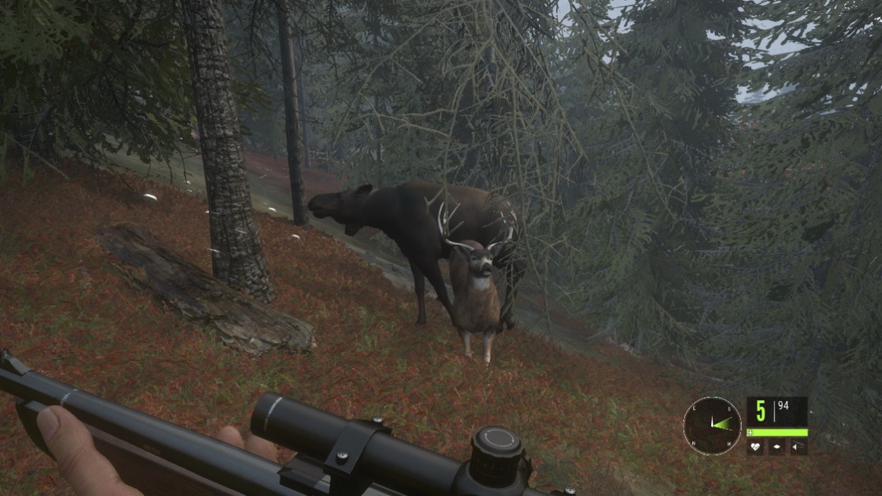 theHunter Ruf der Wildnis v1.17 (+13 Trainer)