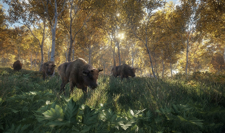 theHunter: Call of the Wild v1.0-v1.19 (+13 Trainer)